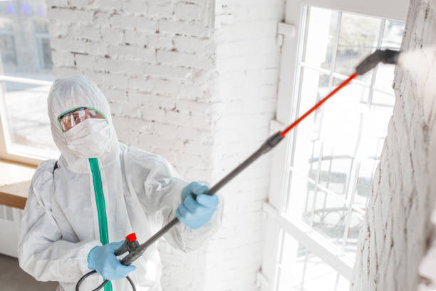 Best Mold-Related Health Consultation  in Ellaville, GA