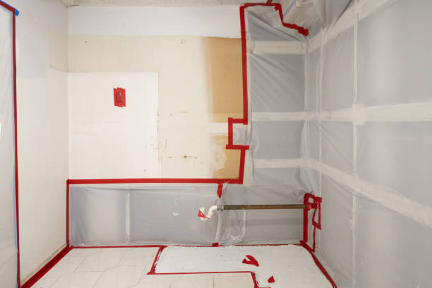 Best HVAC Mold Inspection and Cleaning  in Ellaville, GA