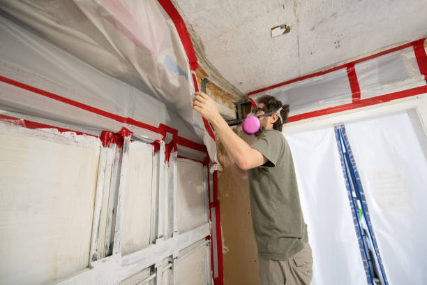 Best Commercial Mold Inspection  in Ellaville, GA