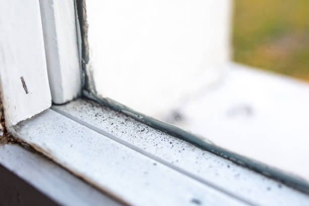 Dehumidification Services in Ellaville, GA