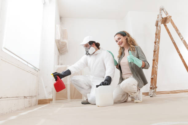 Best Mold Removal for HVAC Installations  in Ellaville, GA
