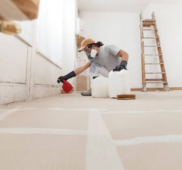 Environmental Consulting for Mold Prevention in Ellaville, GA